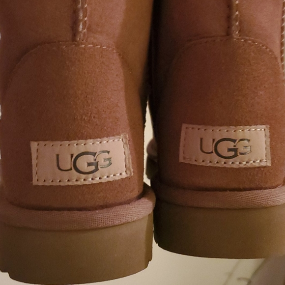 Brand new uggs - Picture 6 of 6
